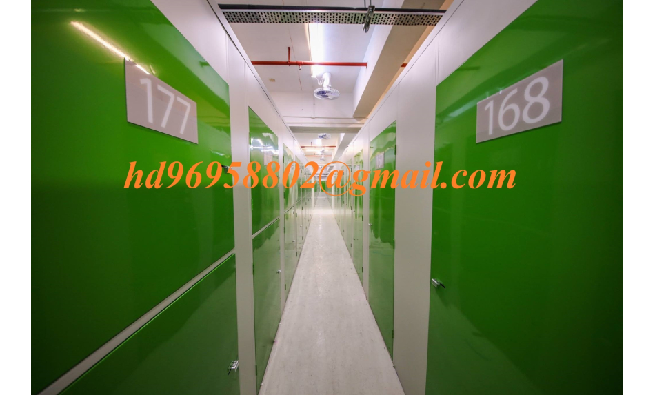 Mini Storage Consultant 2