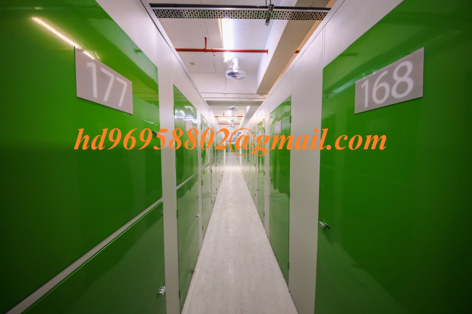 Mini Storage Consultant 2